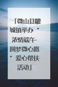 微山县驩城镇举办“浓情端午·圆梦微心愿”爱心帮扶活动