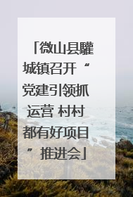 微山县驩城镇召开“党建引领抓运营 村村都有好项目”推进会