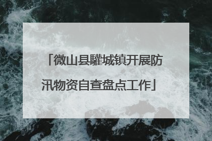 微山县驩城镇开展防汛物资自查盘点工作