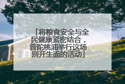 将粮食安全与全民健康紧密结合，普陀桃浦举行这场别开生面的活动