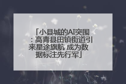 小县城的AI突围：高青县田镇街道引来星途旗航 成为数据标注先行军