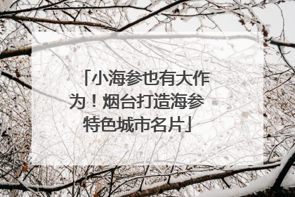 小海参也有大作为！烟台打造海参特色城市名片