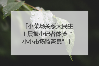 小菜场关系大民生！晨报小记者体验“小小市场监管员”