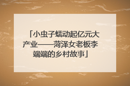 小虫子蠕动起亿元大产业——菏泽女老板李端端的乡村故事
