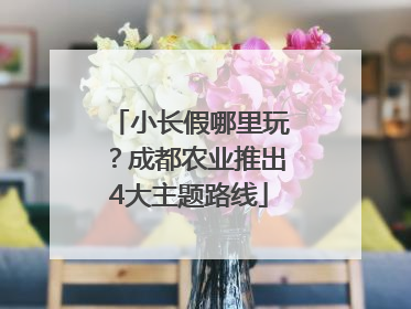 小长假哪里玩？成都农业推出4大主题路线
