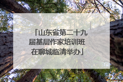 山东省第二十九届基层作家培训班在聊城临清举办