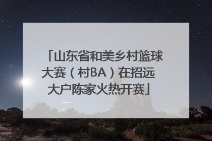 山东省和美乡村篮球大赛（村BA）在招远大户陈家火热开赛