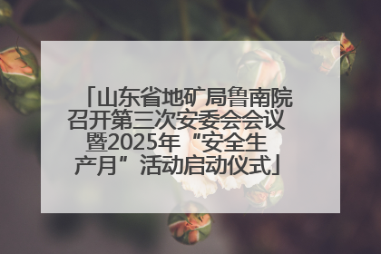 山东省地矿局鲁南院召开第三次安委会会议暨2025年“安全生产月”活动启动仪式