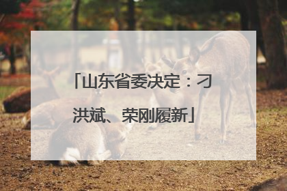山东省委决定：刁洪斌、荣刚履新