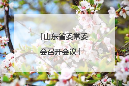山东省委常委会召开会议