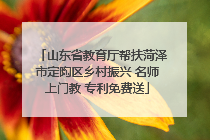 山东省教育厅帮扶菏泽市定陶区乡村振兴 名师上门教 专利免费送