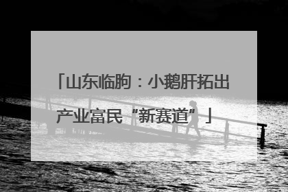 山东临朐：小鹅肝拓出产业富民“新赛道”