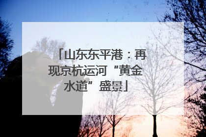 山东东平港：再现京杭运河“黄金水道”盛景