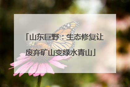 山东巨野：生态修复让废弃矿山变绿水青山