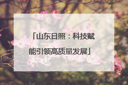 山东日照：科技赋能引领高质量发展
