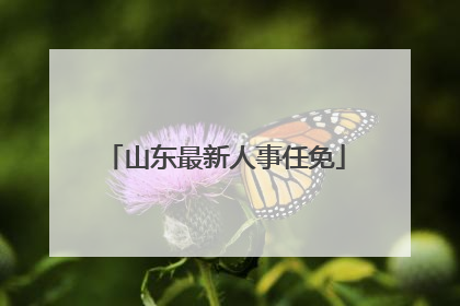 山东最新人事任免