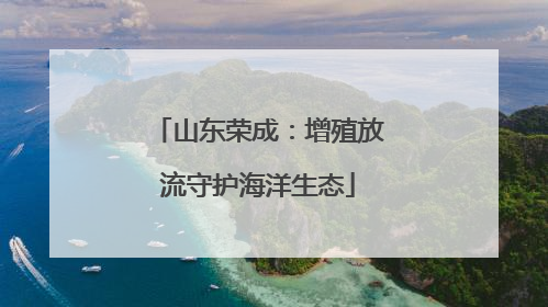 山东荣成：增殖放流守护海洋生态