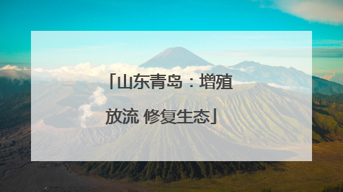 山东青岛：增殖放流 修复生态