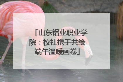 山东铝业职业学院：校社携手共绘端午温暖画卷