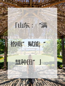 山东：“满格电”赋能“慧种田”