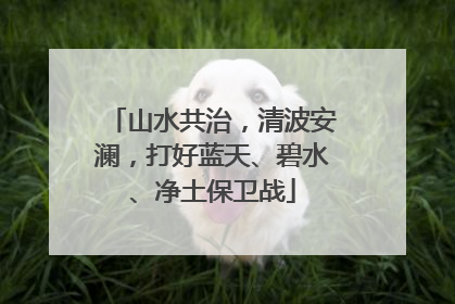 山水共治，清波安澜，打好蓝天、碧水、净土保卫战
