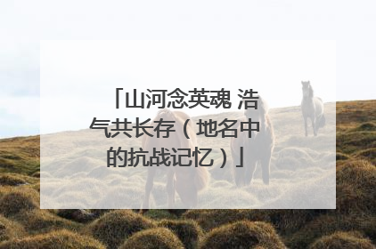 山河念英魂 浩气共长存（地名中的抗战记忆）