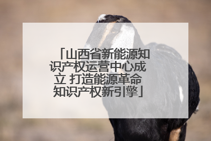 山西省新能源知识产权运营中心成立 打造能源革命知识产权新引擎