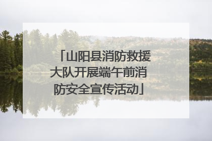 山阳县消防救援大队开展端午前消防安全宣传活动