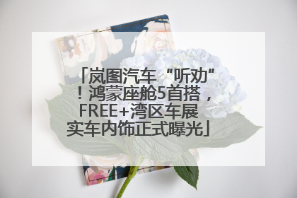 岚图汽车“听劝”！鸿蒙座舱5首搭，FREE+湾区车展实车内饰正式曝光