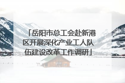 岳阳市总工会赴新港区开展深化产业工人队伍建设改革工作调研