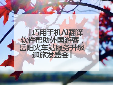 巧用手机AI翻译软件帮助外国游客，岳阳火车站服务升级迎旅发盛会