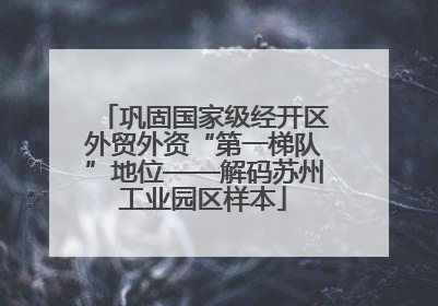 巩固国家级经开区外贸外资“第一梯队”地位——解码苏州工业园区样本