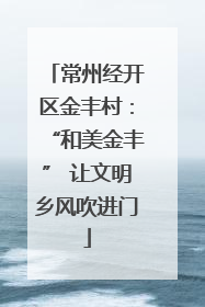 常州经开区金丰村：“和美金丰” 让文明乡风吹进门