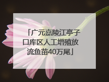 广元嘉陵江亭子口库区人工增殖放流鱼苗40万尾