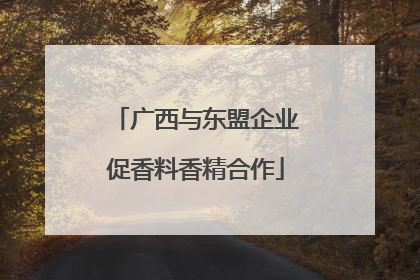 广西与东盟企业促香料香精合作