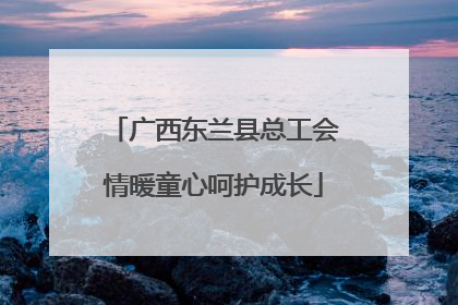 广西东兰县总工会情暖童心呵护成长
