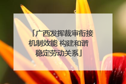 广西发挥裁审衔接机制效能 构建和谐稳定劳动关系