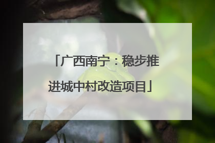 广西南宁：稳步推进城中村改造项目