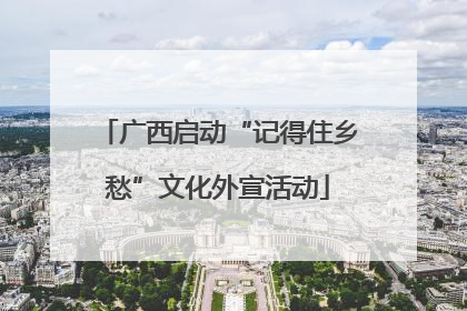 广西启动“记得住乡愁”文化外宣活动