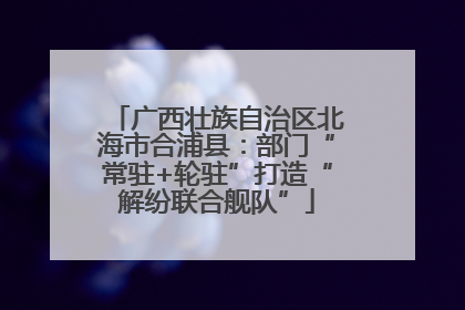 广西壮族自治区北海市合浦县：部门“常驻+轮驻”打造“解纷联合舰队”
