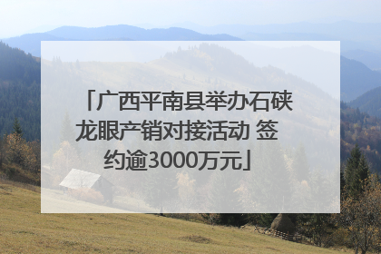 广西平南县举办石硖龙眼产销对接活动 签约逾3000万元