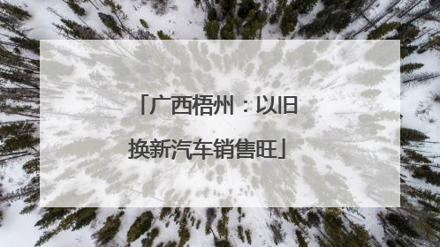 广西梧州：以旧换新汽车销售旺