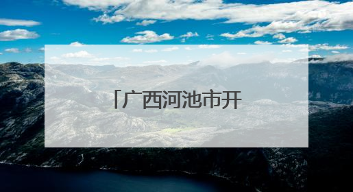 广西河池市开展“质量服务进园区”活动