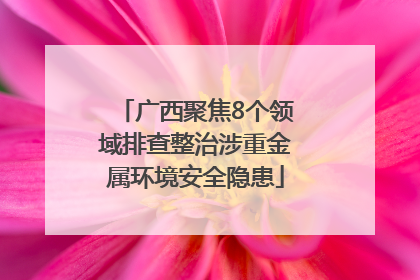 广西聚焦8个领域排查整治涉重金属环境安全隐患
