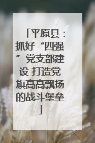 平原县：抓好“四强”党支部建设 打造党旗高高飘扬的战斗堡垒