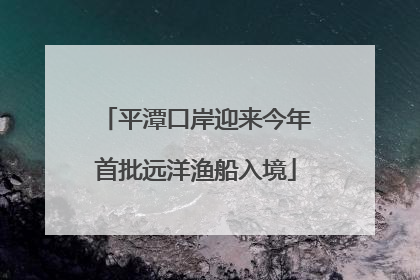 平潭口岸迎来今年首批远洋渔船入境