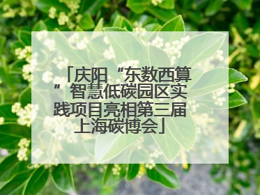 庆阳“东数西算”智慧低碳园区实践项目亮相第三届上海碳博会