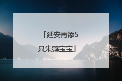延安再添5只朱鹮宝宝
