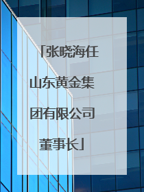 张晓海任山东黄金集团有限公司董事长