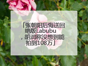张朝阳后悔送回绝版Labubu，胡润称没想到能拍到108万